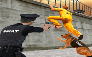 Urban Confinement Logic Breakout