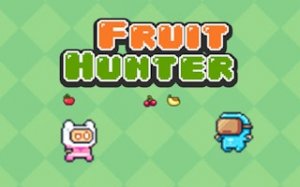 Fruit Catch Arcade Challenge